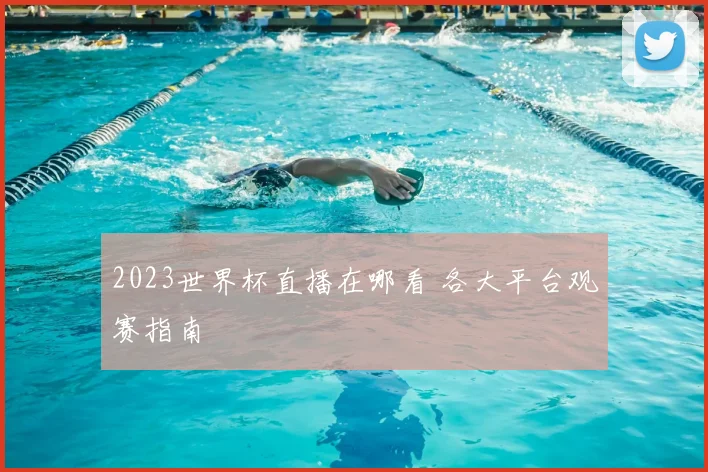 2023世界杯直播在哪看 各大平台观赛指南