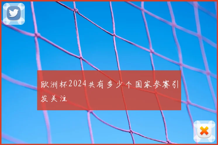 欧洲杯2024共有多少个国家参赛引发关注