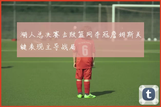 湖人总决赛击败篮网夺冠詹姆斯关键表现主导战局