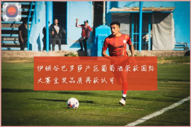 伊顿谷巴罗萨产区葡萄酒荣获国际大赛金奖品质再获认可