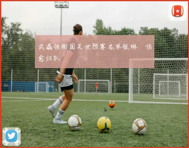 武磊领衔国足世预赛名单张琳芃伤愈归队