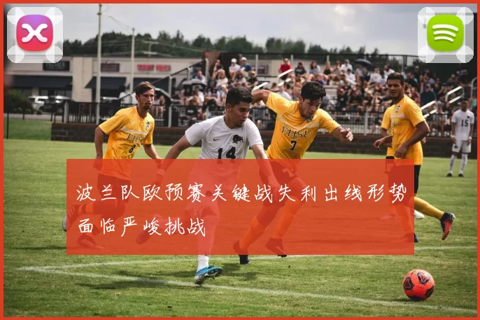波兰队欧预赛关键战失利出线形势面临严峻挑战